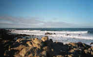 ocean.jpg (40589 bytes)